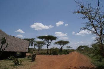 Robanda Tented Camp ภายนอก รูปภาพ